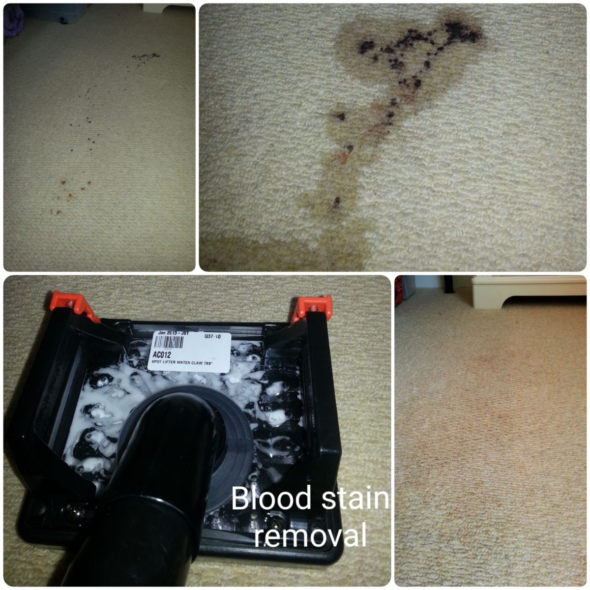 Spot & Stain Removal In Depth