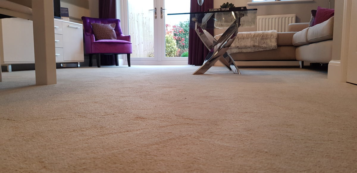 Deep cleaning of carpets in Shrewsbury, Shropshire